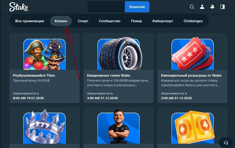 Бонусные предложения